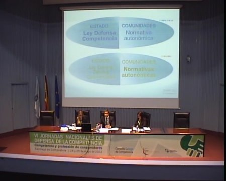 Marco institucional da protecci&oacute;n do consumidor e a defensa da competencia